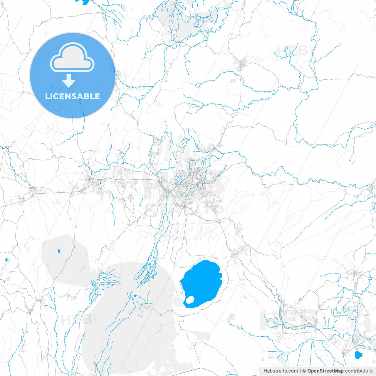 Rich detailed vector map of Santa Ana, Santa Ana, El Salvador