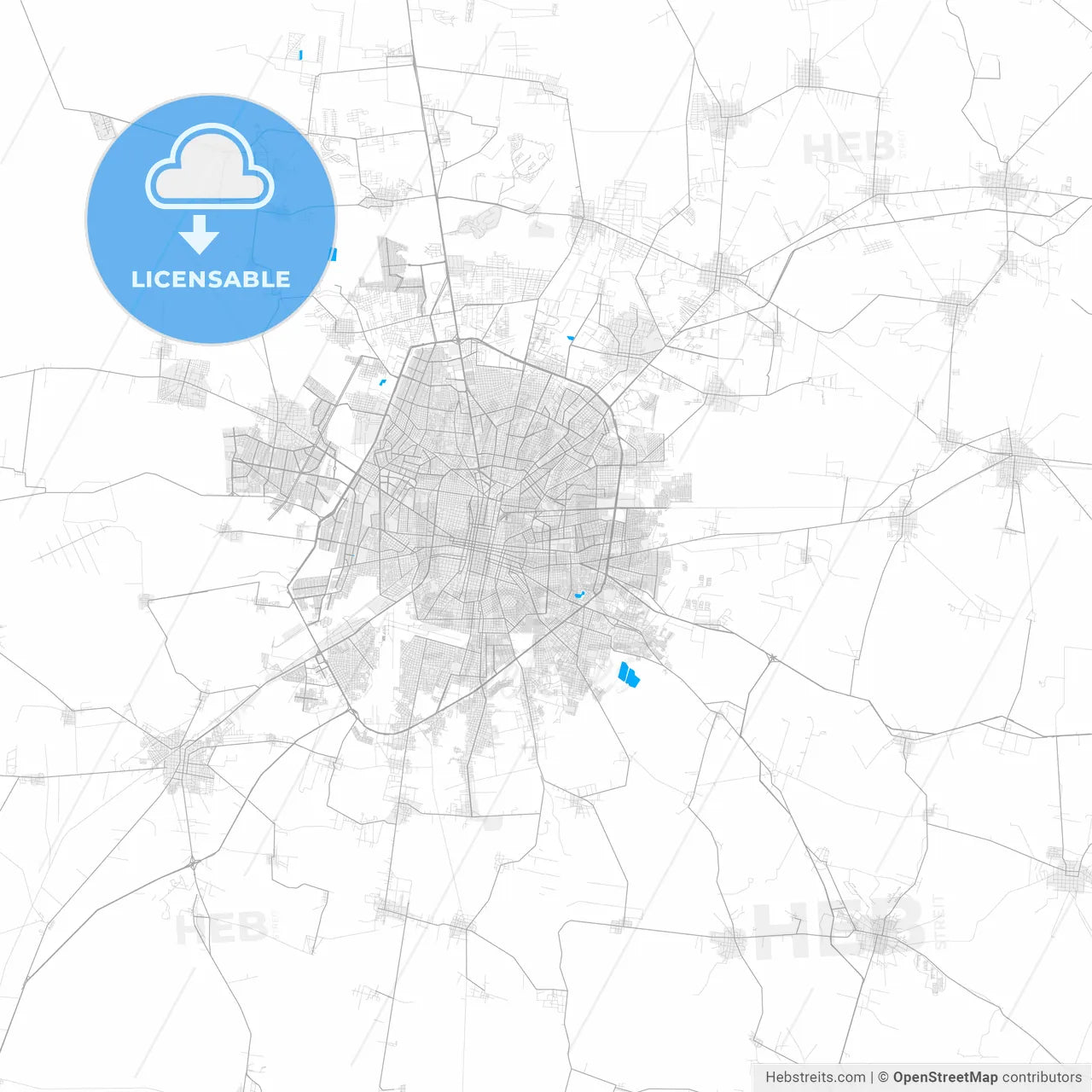 Rich detailed vector map of Mérida, Yucatán, Mexico