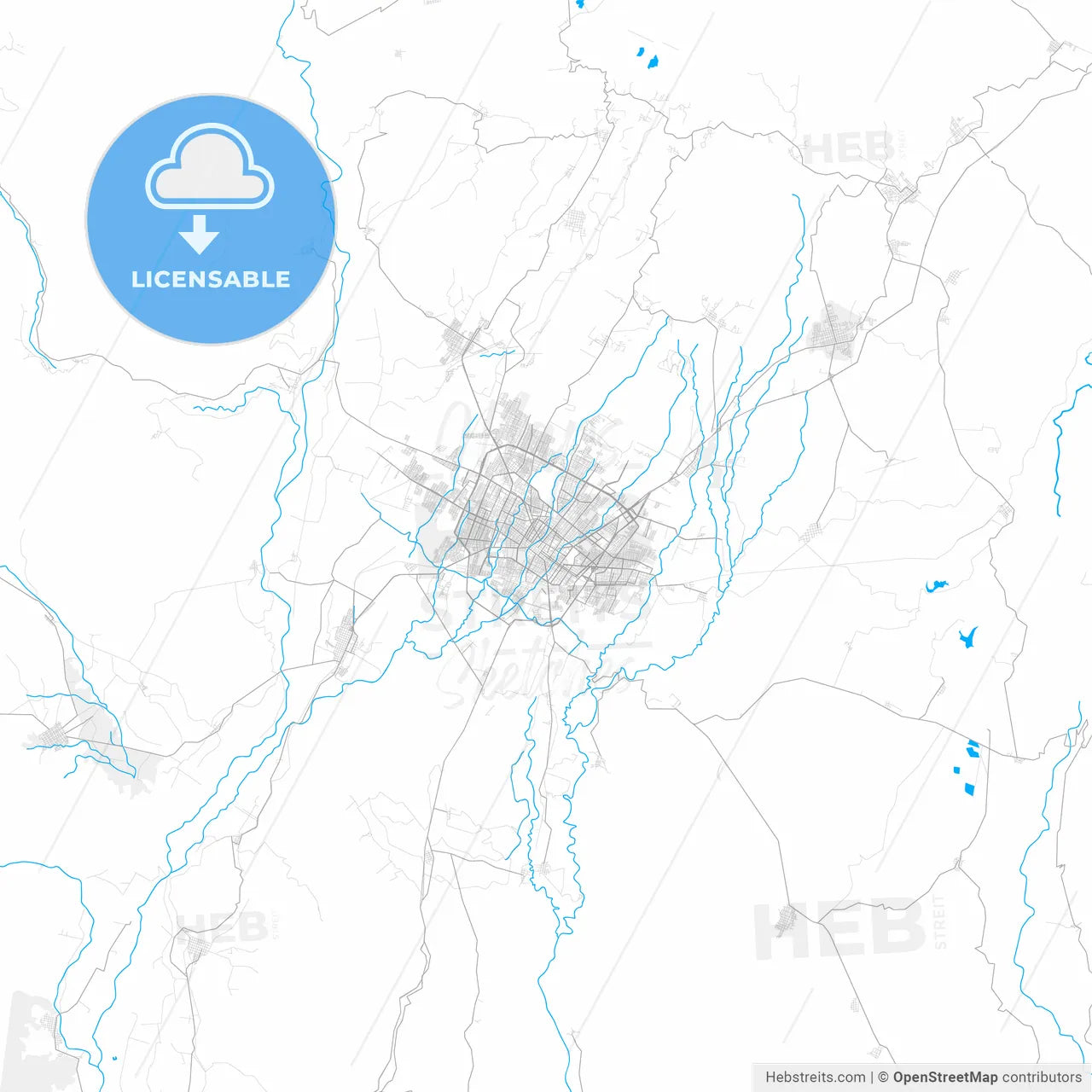 Rich detailed vector map of Colima, Colima, Mexico