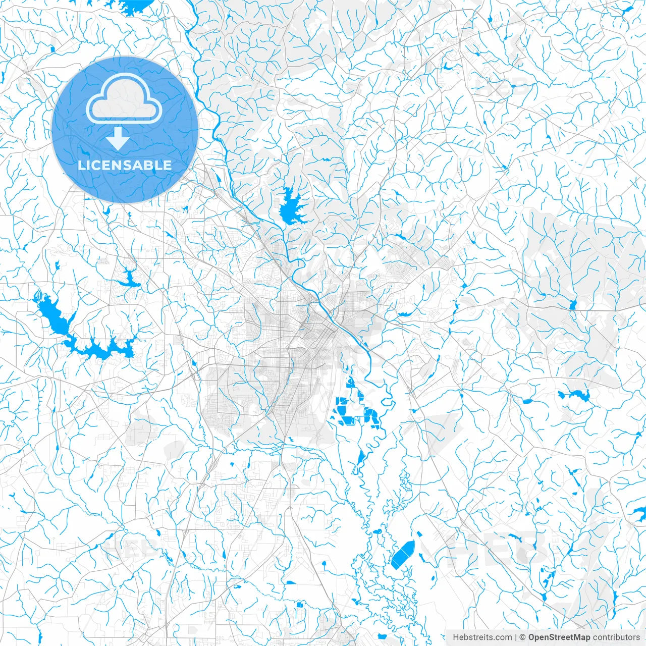 Rich detailed vector map of Macon, Georgia, USA