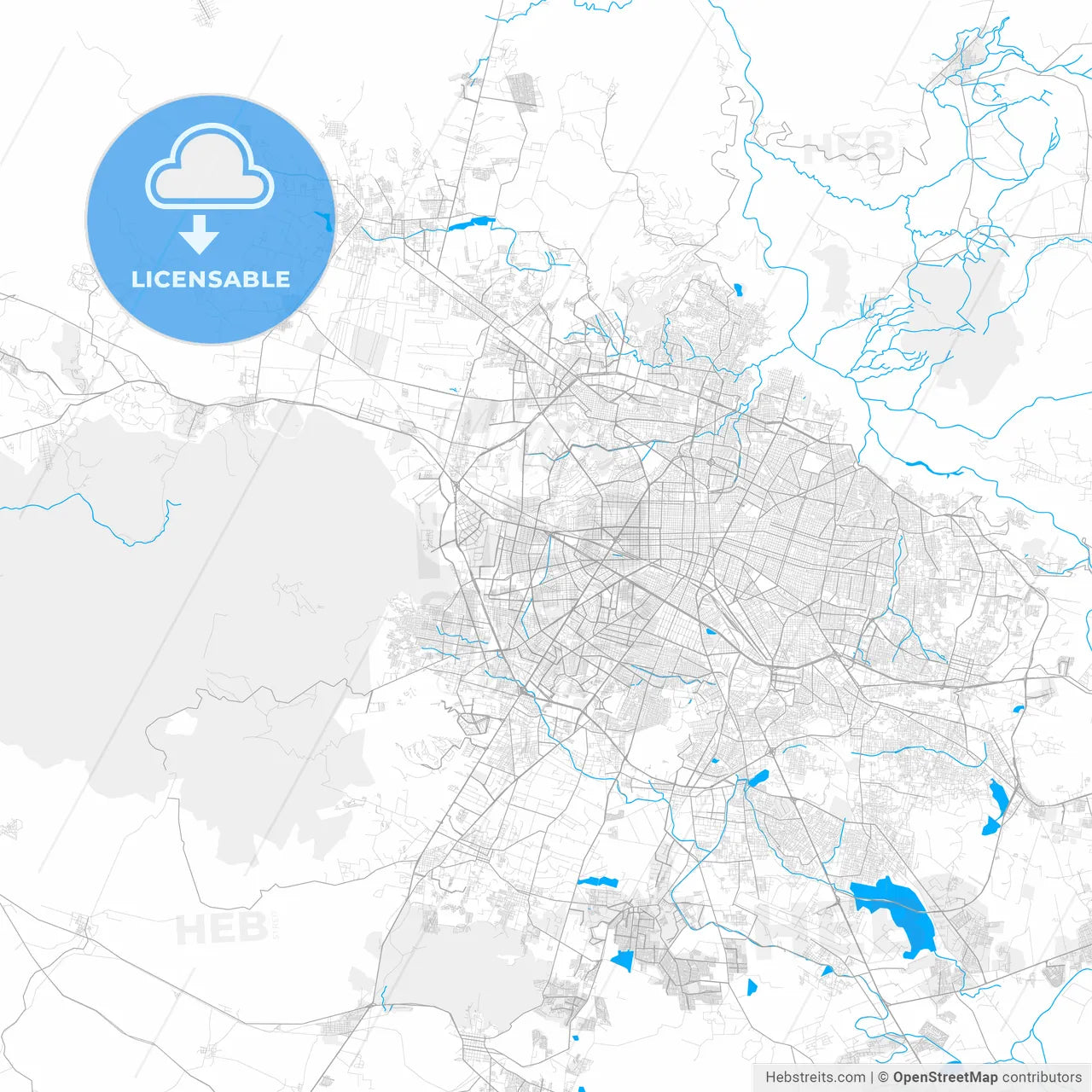 Rich detailed vector map of Zapopan, Jalisco, Mexico