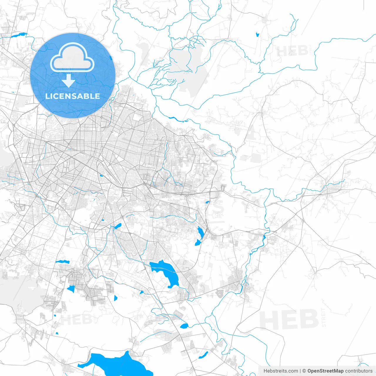 Rich detailed vector map of Tonalá, Jalisco, Mexico