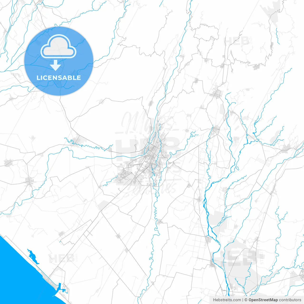 Rich detailed vector map of Tapachula, Chiapas, Mexico