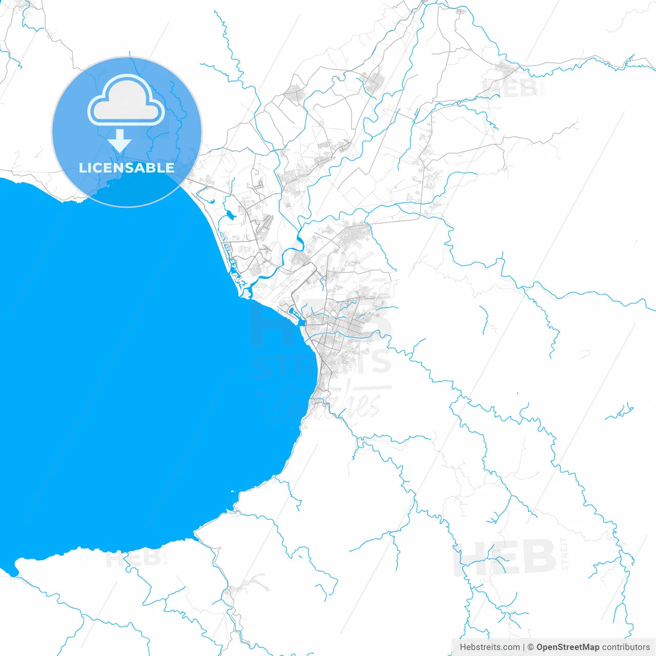 Rich detailed vector map of Puerto Vallarta, Jalisco, Mexico