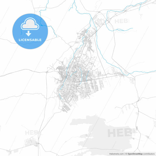 Rich detailed vector map of Saltillo, Coahuila, Mexico