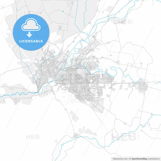 Rich detailed vector map of Torreón, Coahuila, Mexico