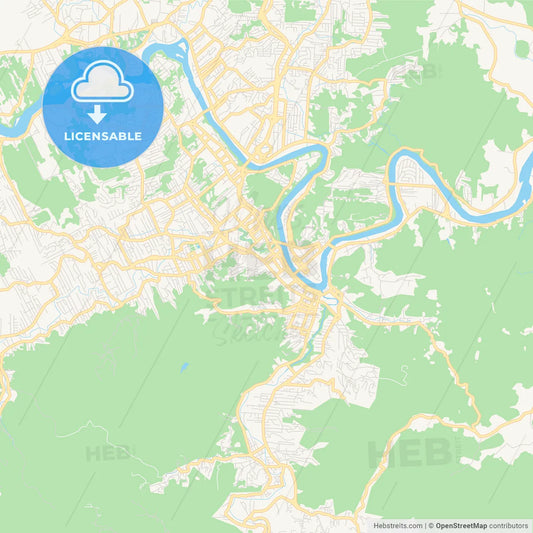 Printable street map of Blumenau, Brazil