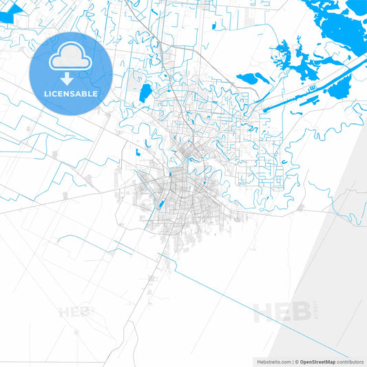 Rich detailed vector map of Matamoros, Tamaulipas, Mexico