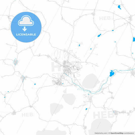 Rich detailed vector map of Zamora, Michoacán, Mexico