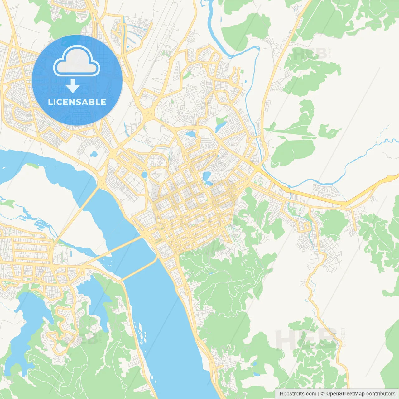 Printable street map of Concepcion, Chile