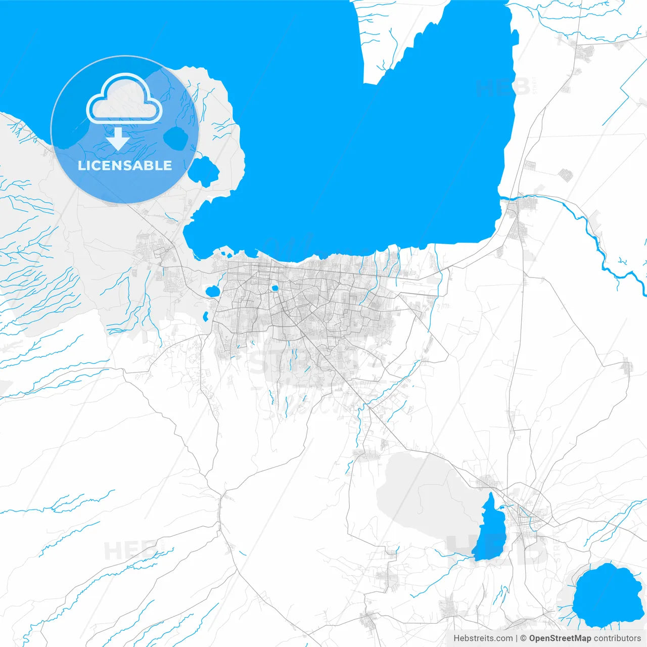 Rich detailed vector map of Managua, Managua, Nicaragua