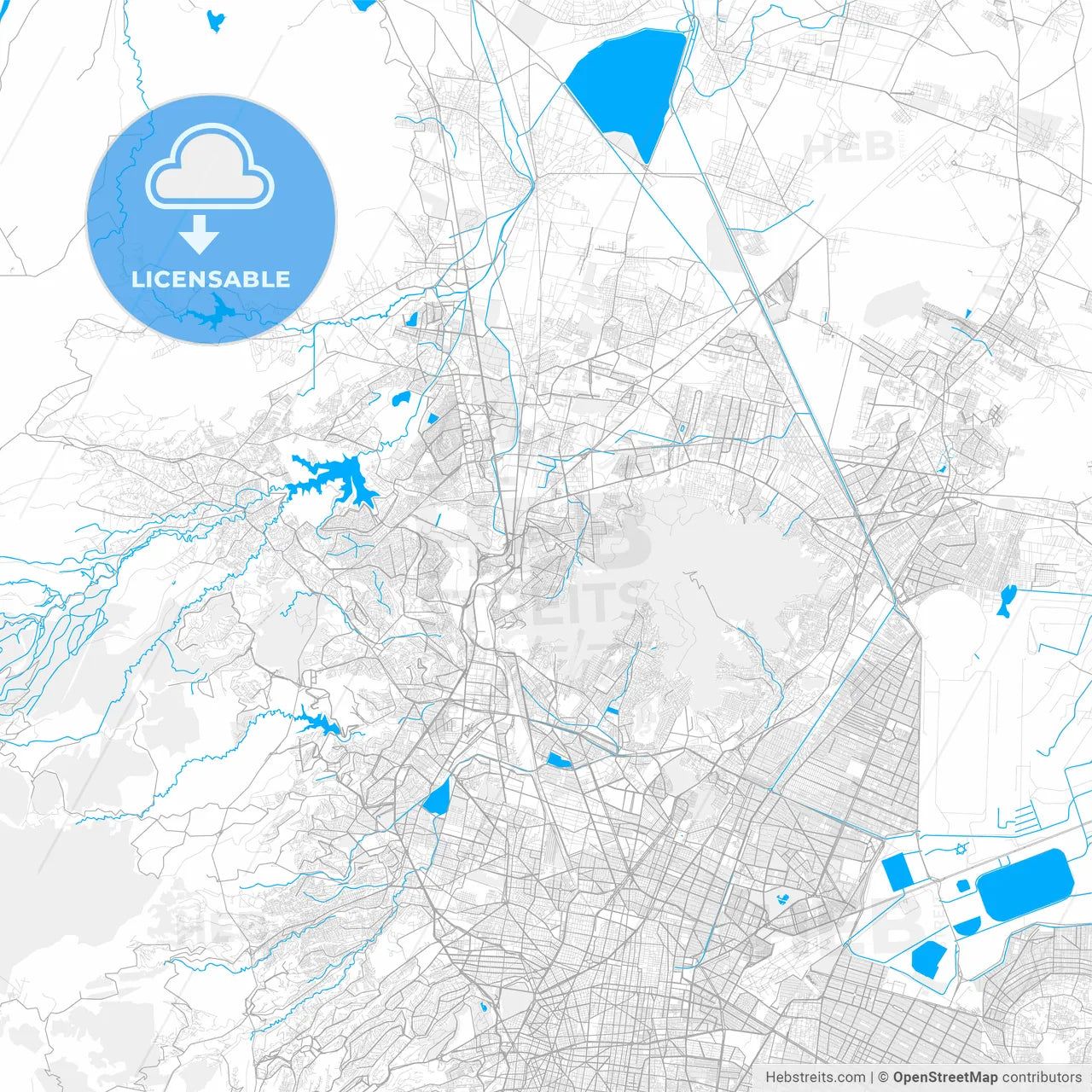 Rich detailed vector map of Buenavista, México, Mexico
