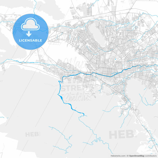 Rich detailed vector map of San Pedro Garza García, Nuevo León, Mexico