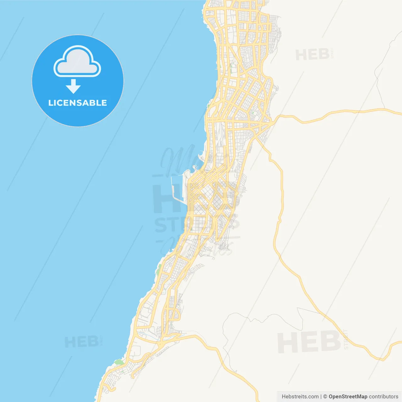 Printable street map of Antofagasta, Chile
