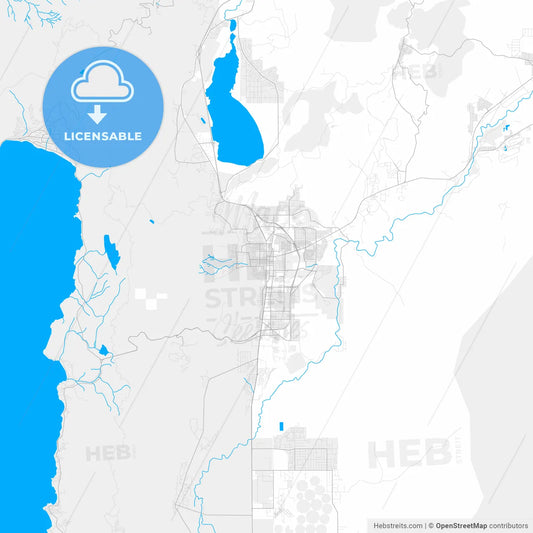 Rich detailed vector map of Carson City, Nevada, USA