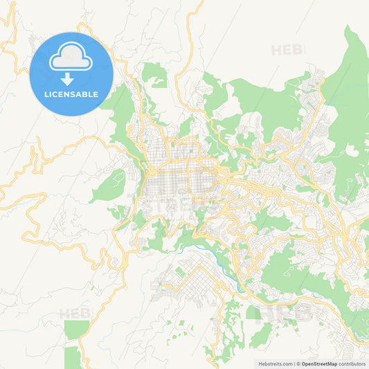 Printable street map of Manizales, Colombia