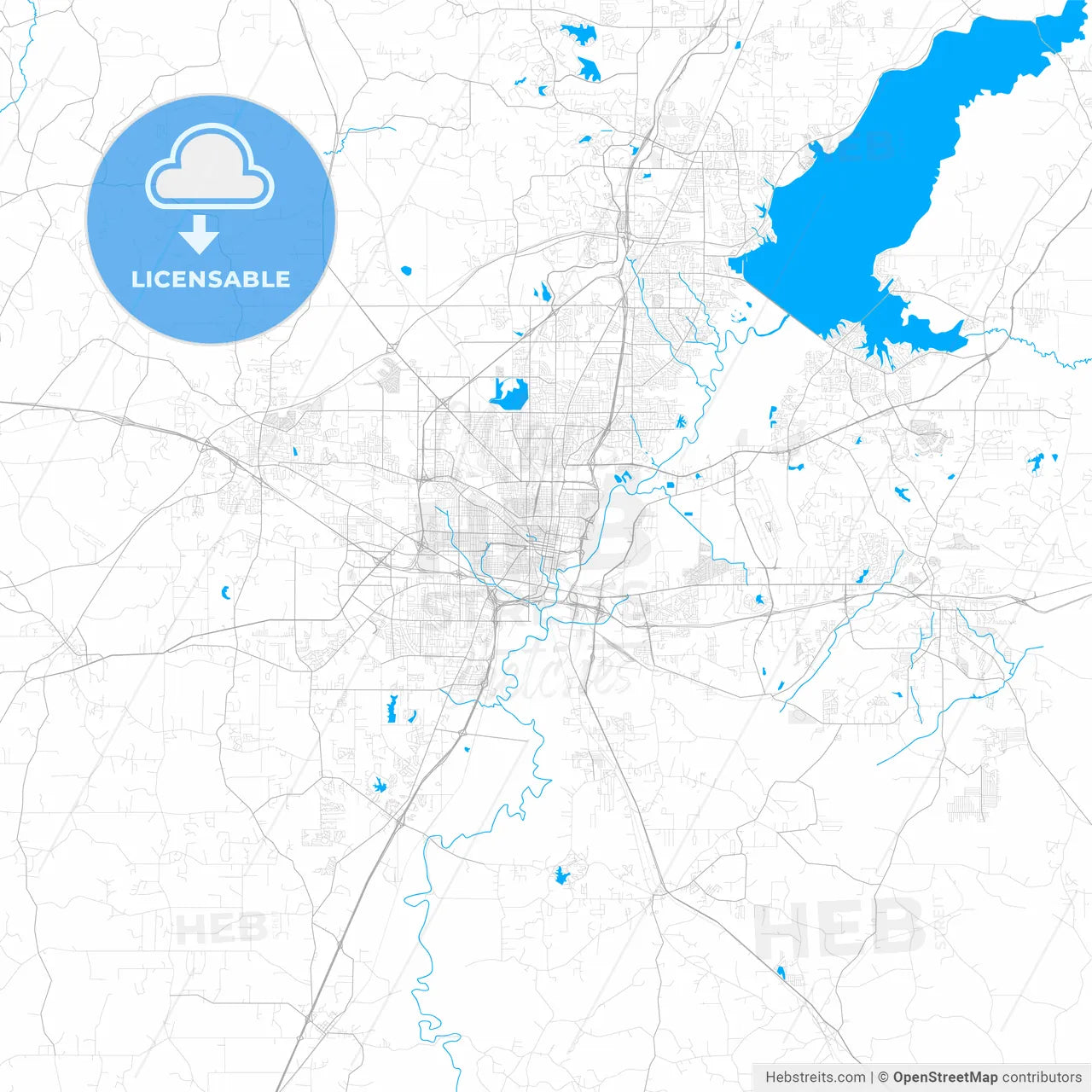 Rich detailed vector map of Jackson, Mississippi, USA