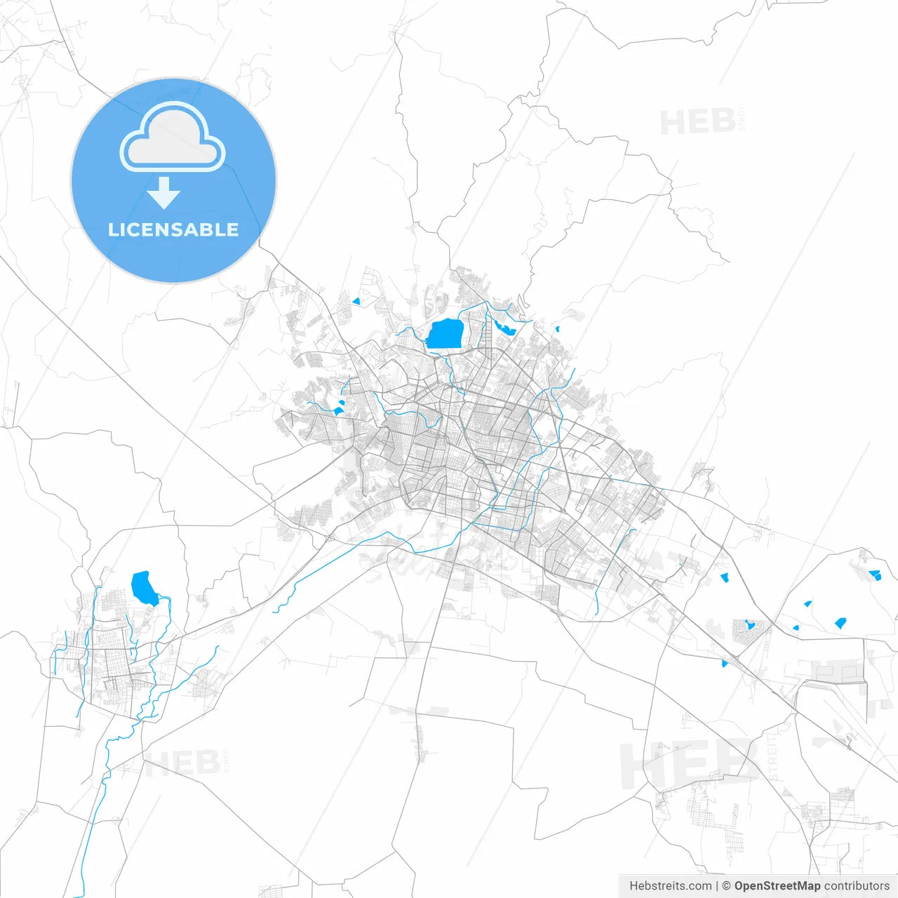 Rich detailed vector map of León, Guanajuato, Mexico