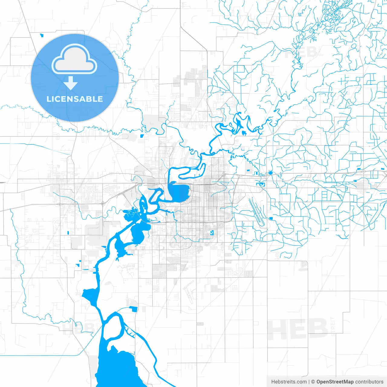 Rich detailed vector map of Lake Charles, Louisiana, USA