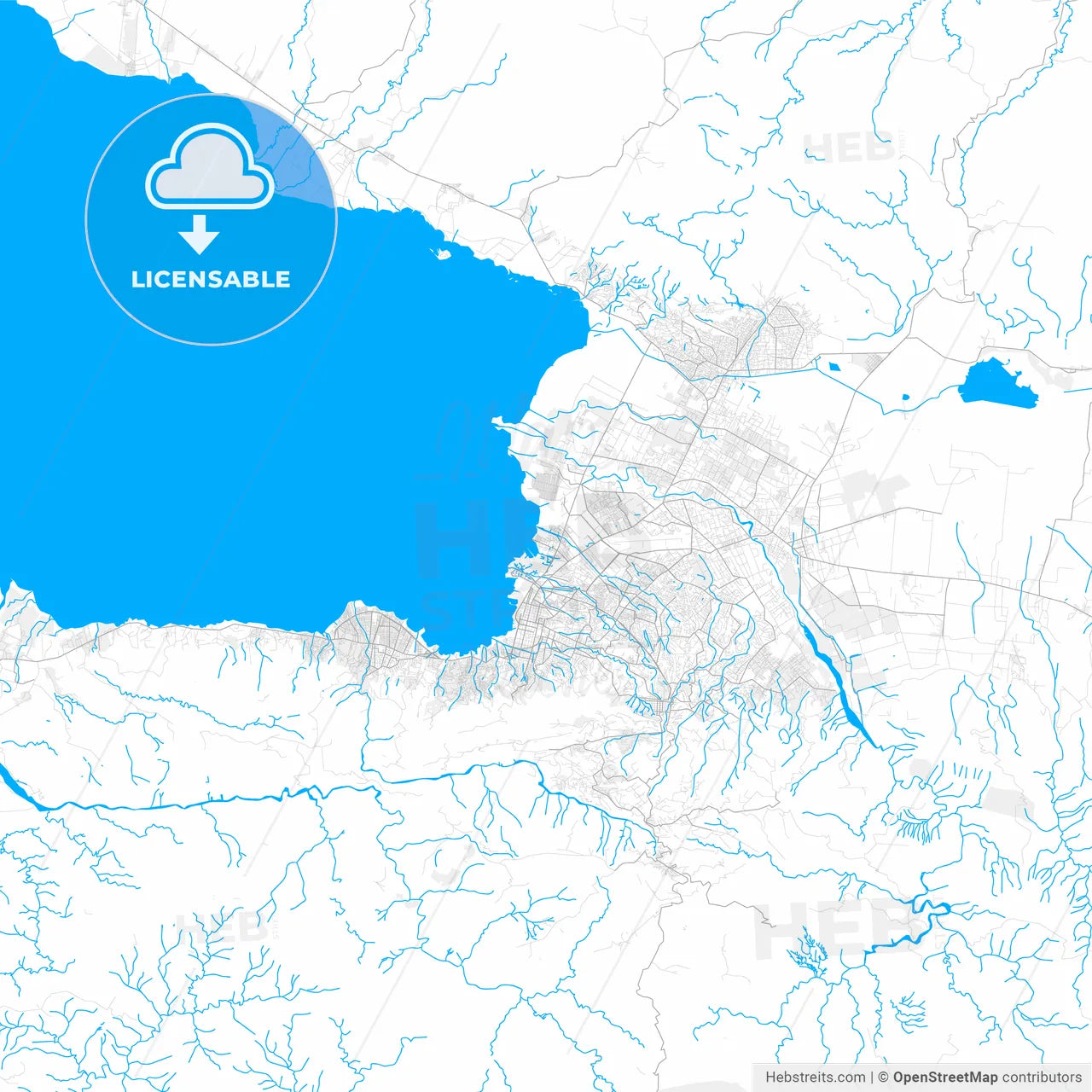 Rich detailed vector map of Cité Soleil, Ouest, Haiti