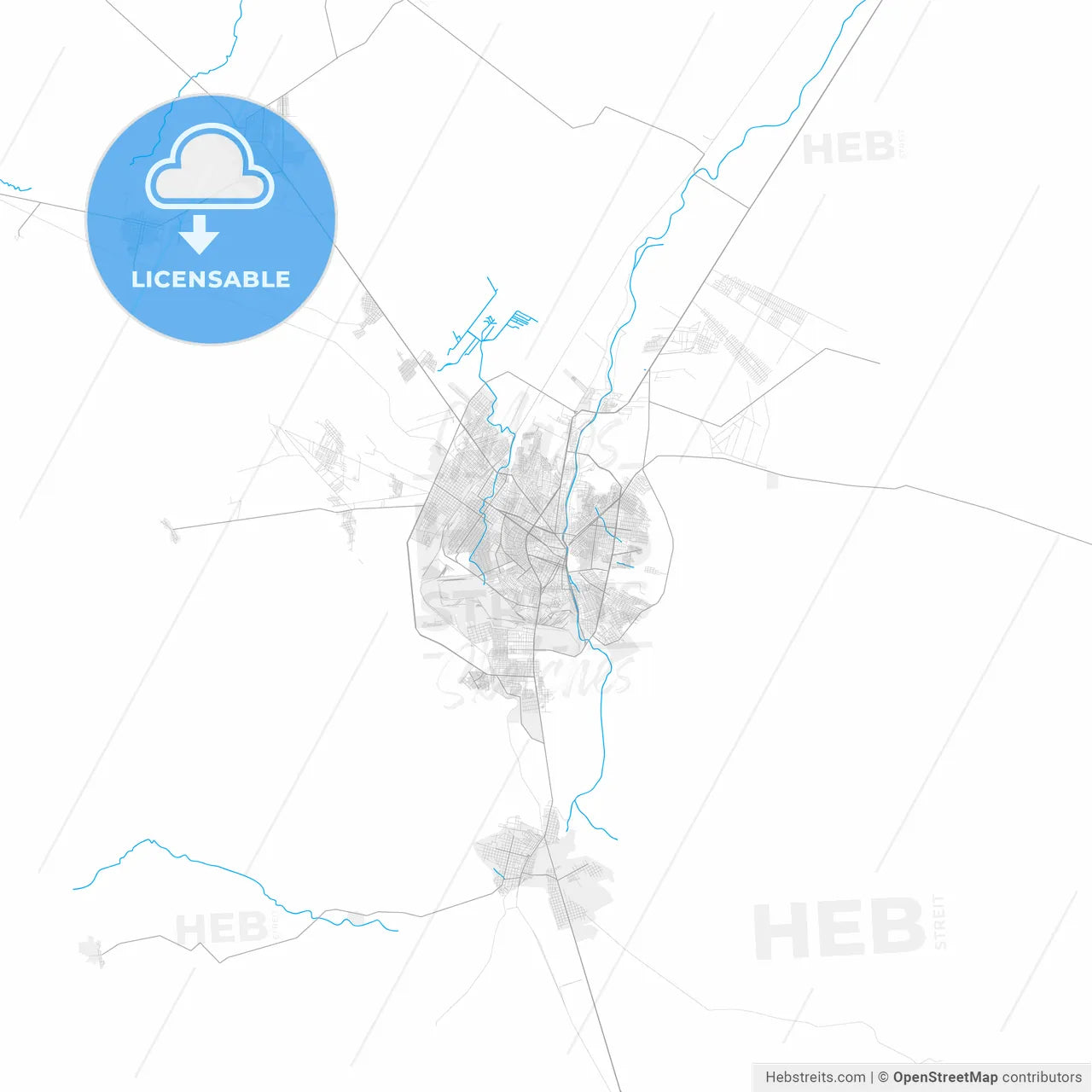 Rich detailed vector map of Monclova, Coahuila, Mexico