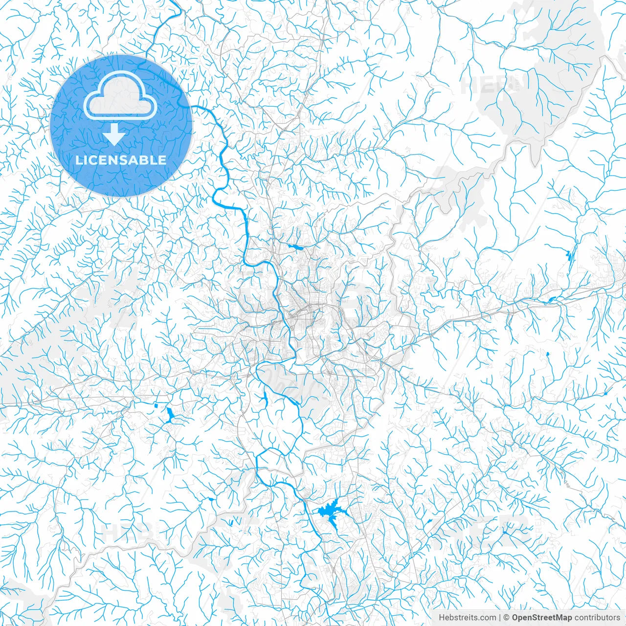 Rich detailed vector map of Asheville, North Carolina, USA