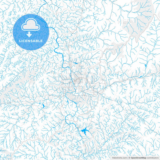 Rich detailed vector map of Asheville, North Carolina, USA