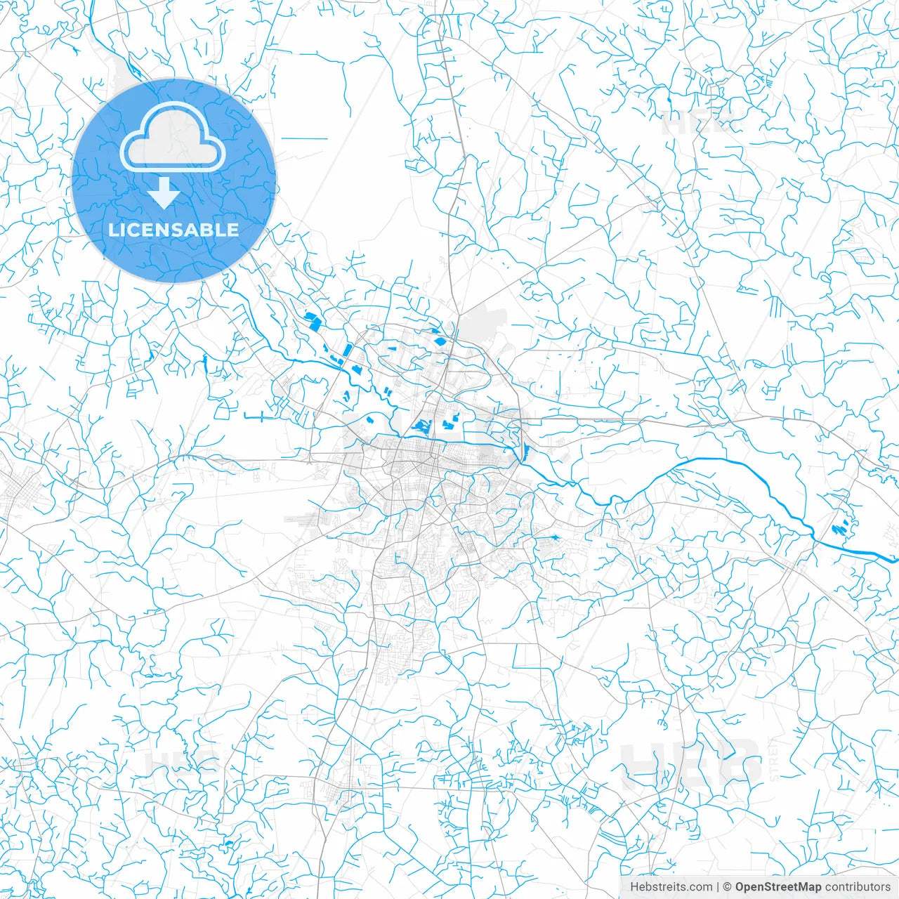 Rich detailed vector map of Greenville, North Carolina, USA