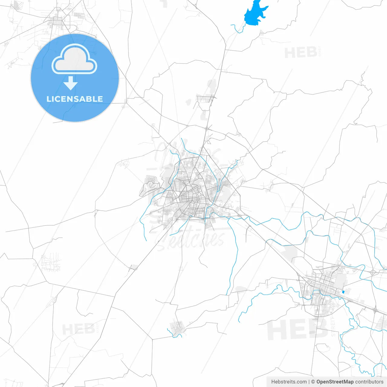 Rich detailed vector map of Irapuato, Guanajuato, Mexico