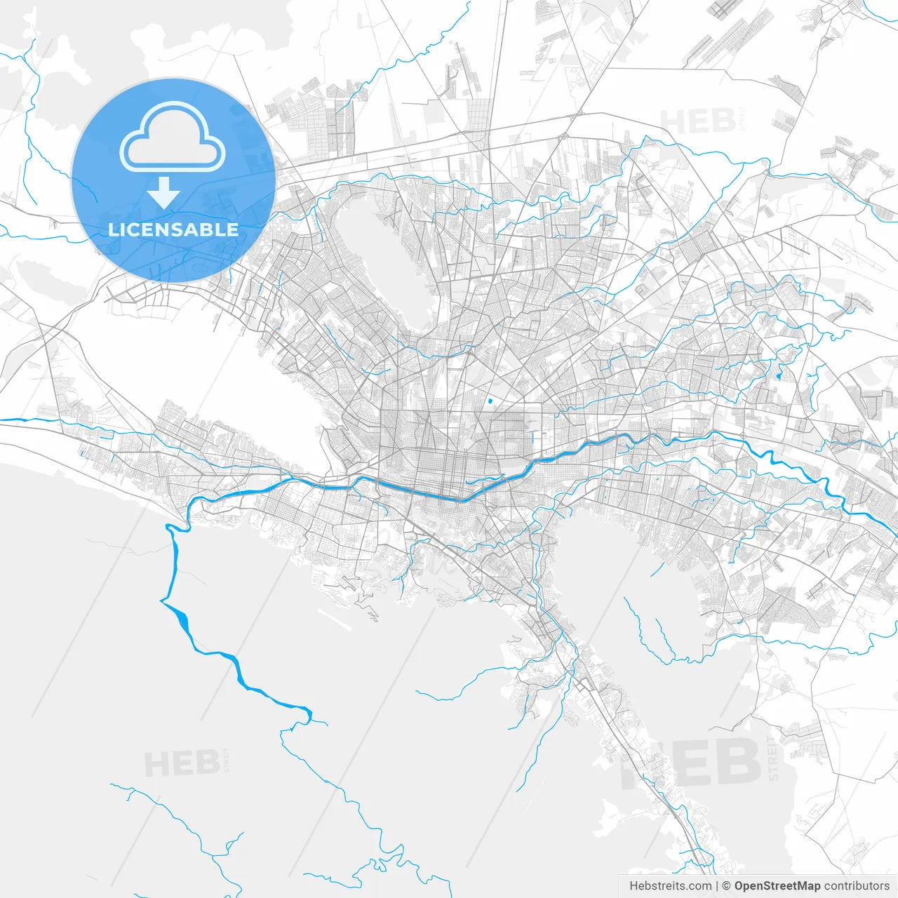 Rich detailed vector map of Monterrey, Nuevo León, Mexico