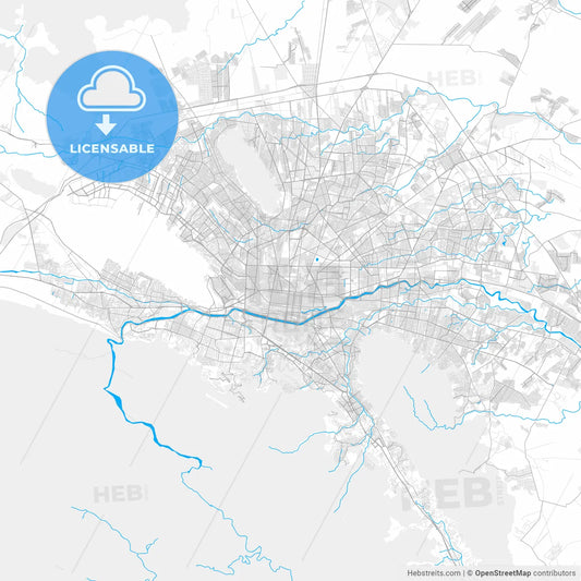 Rich detailed vector map of Monterrey, Nuevo León, Mexico