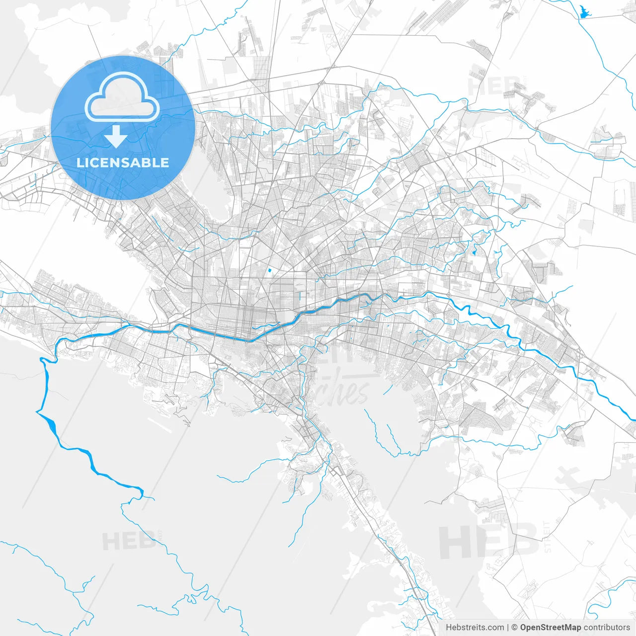 Rich detailed vector map of Guadalupe, Nuevo León, Mexico
