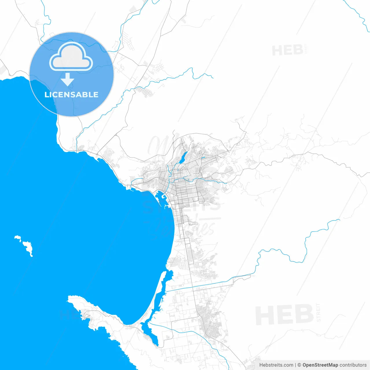 Rich detailed vector map of Ensenada, Baja California, Mexico