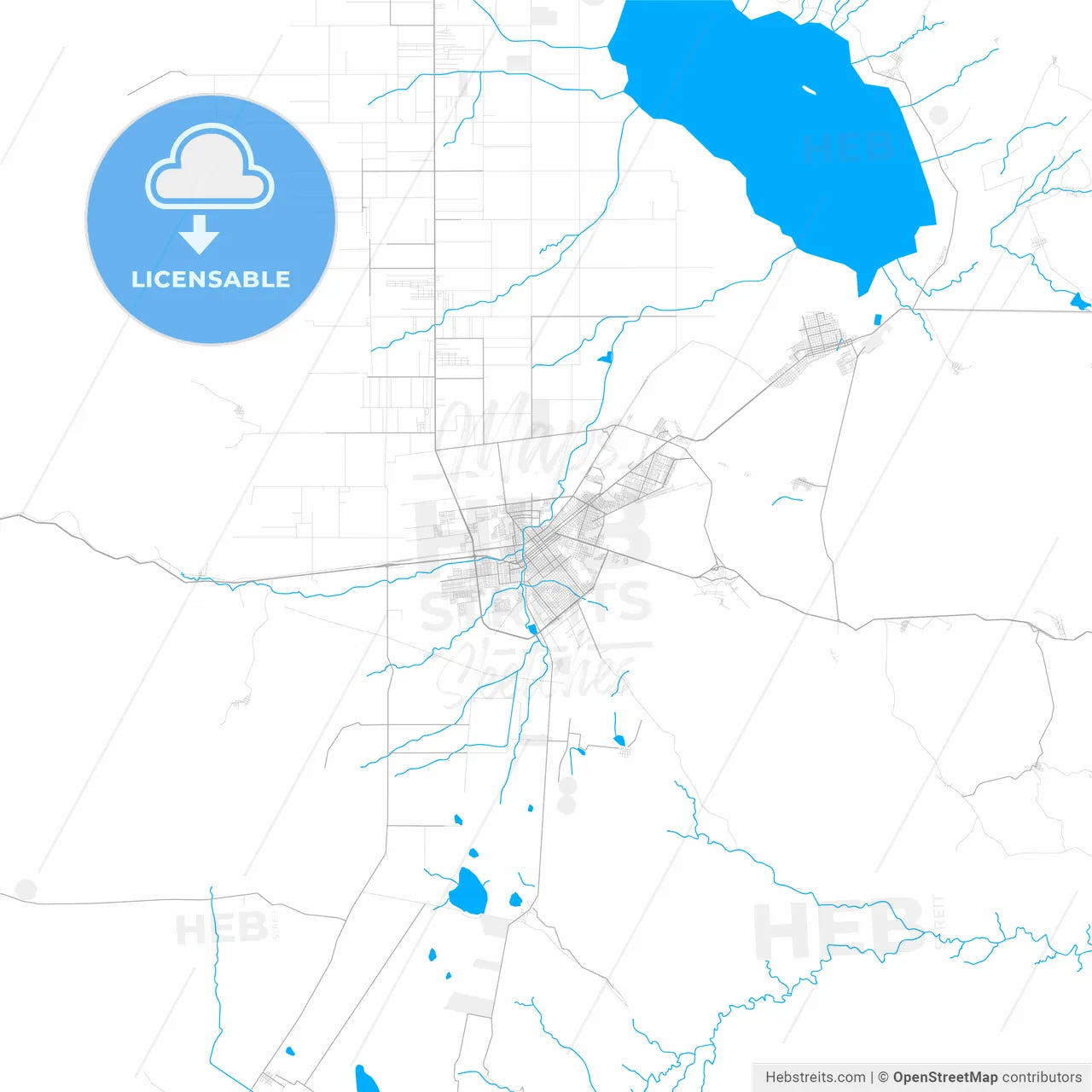 Rich detailed vector map of Ciudad Cuauhtémoc, Chihuahua, Mexico