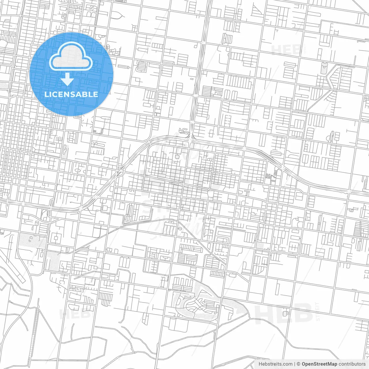 Pharr, Texas, USA, bright outlined vector map