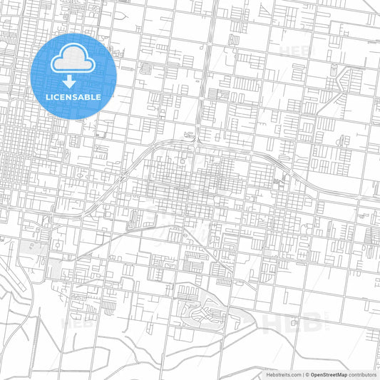 Pharr, Texas, USA, bright outlined vector map