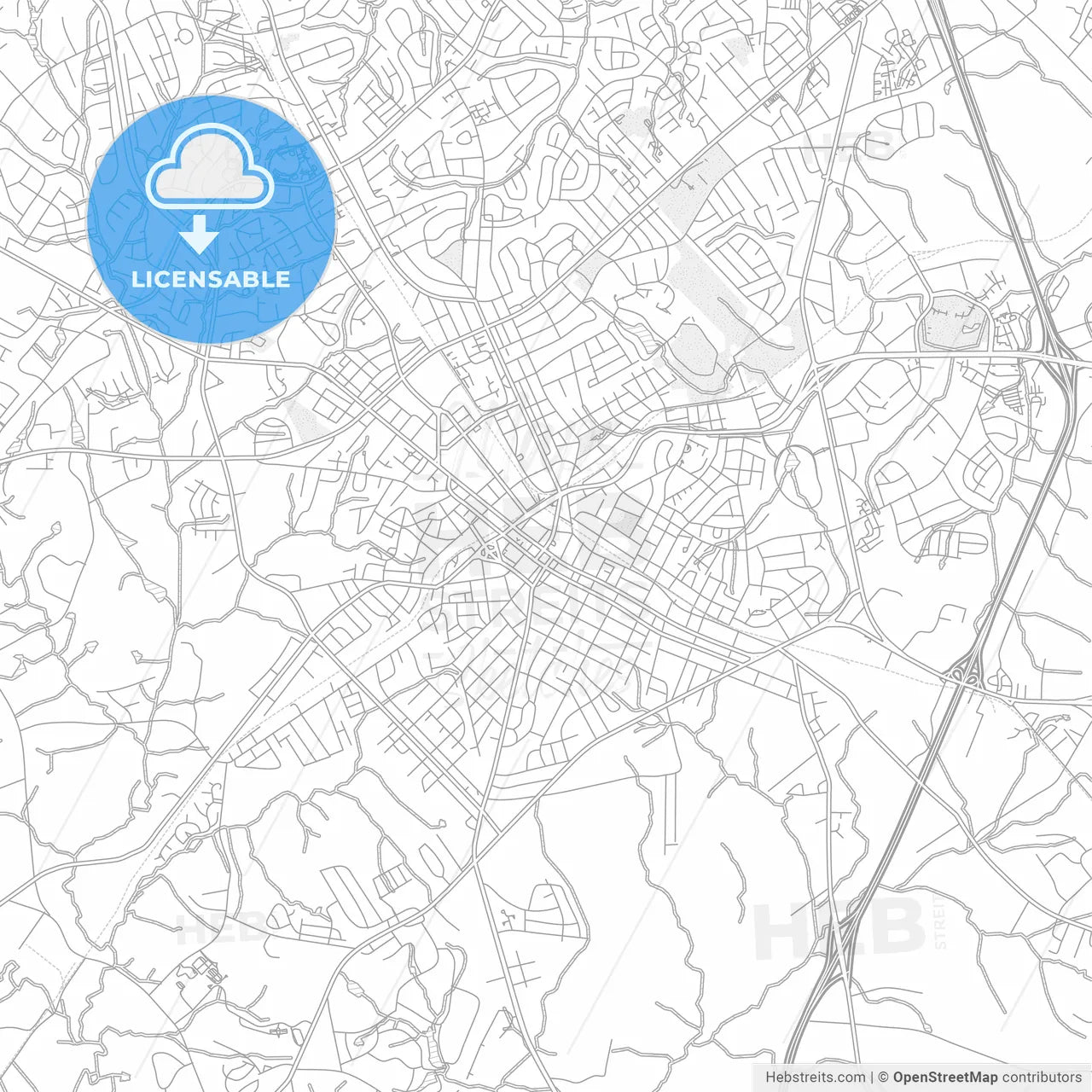 Rock Hill, South Carolina, USA, bright outlined vector map