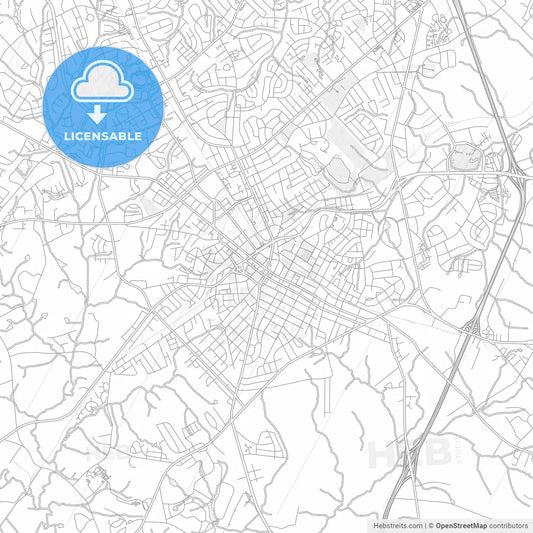 Rock Hill, South Carolina, USA, bright outlined vector map