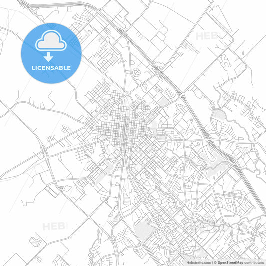 Bryan, Texas, USA, bright outlined vector map