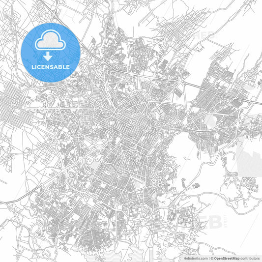 Puebla, Puebla, Mexico, bright outlined vector map