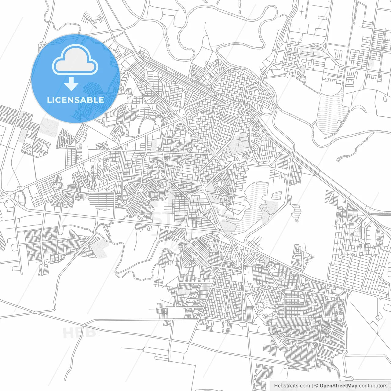 Reynosa, Tamaulipas, Mexico, bright outlined vector map