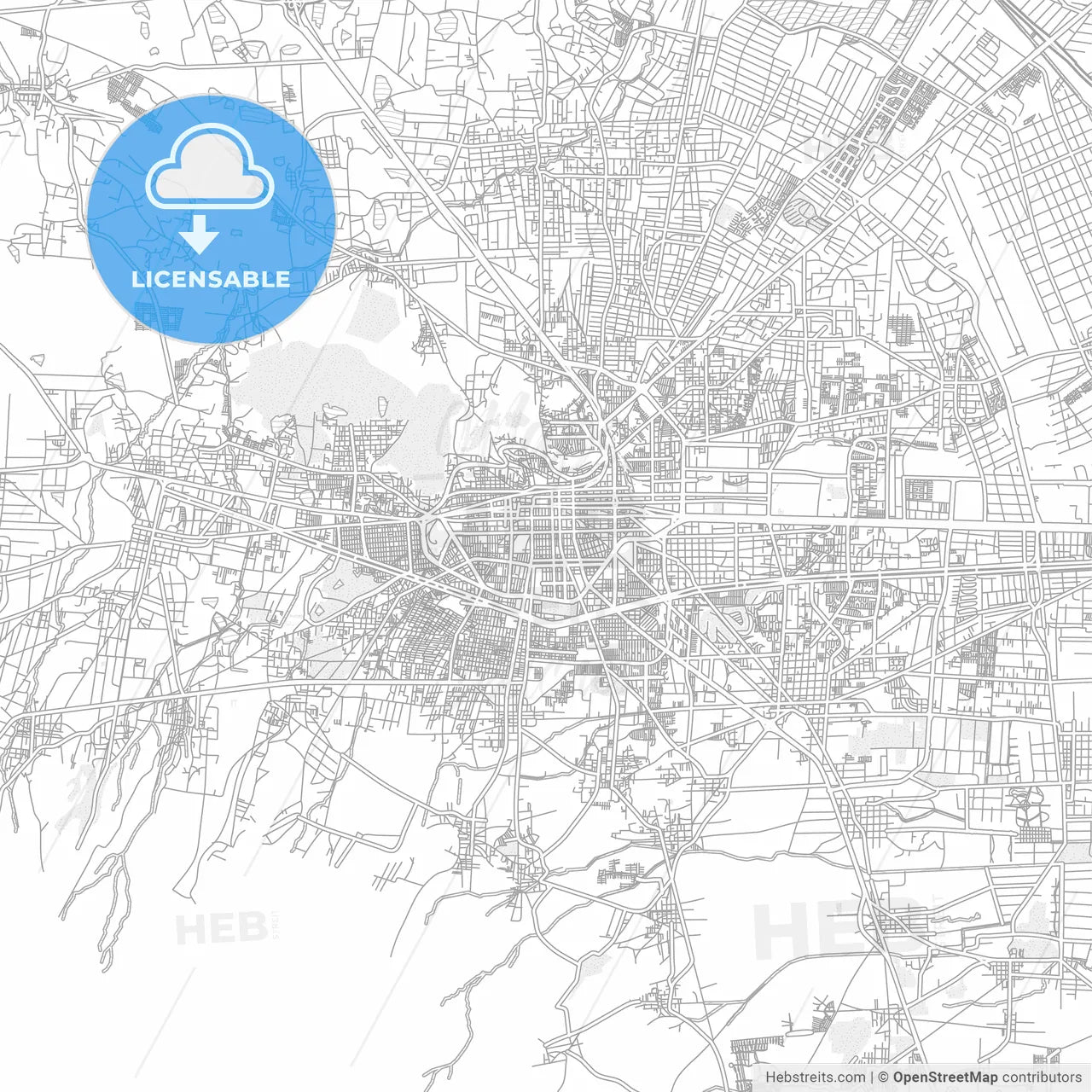 Toluca, México, Mexico, bright outlined vector map