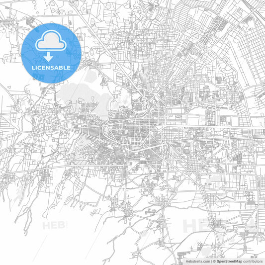 Toluca, México, Mexico, bright outlined vector map