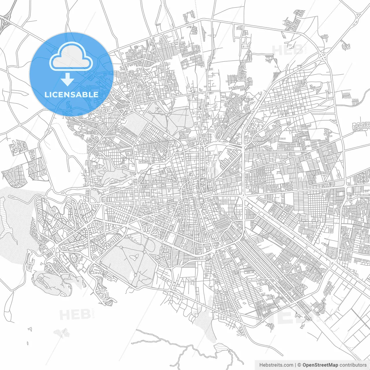 San Luis Potosí, San Luis Potosí, Mexico, bright outlined vector map