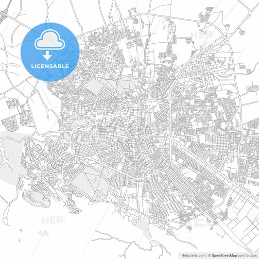 San Luis Potosí, San Luis Potosí, Mexico, bright outlined vector map