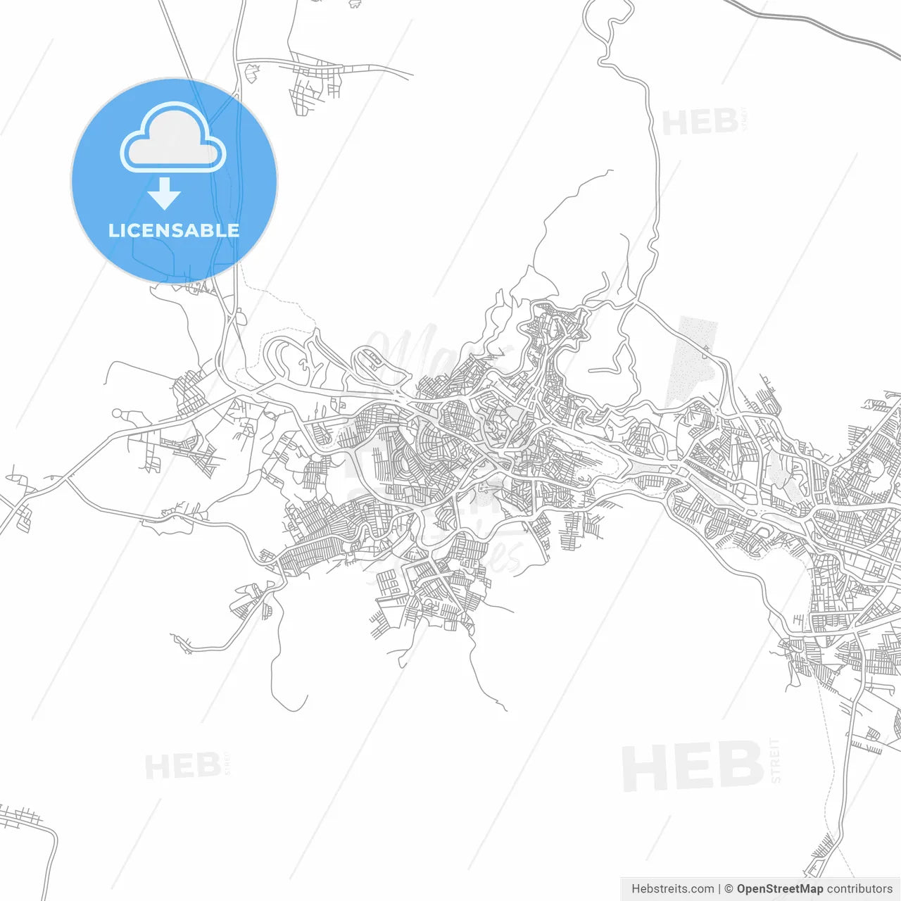 Zacatecas, Zacatecas, Mexico, bright outlined vector map