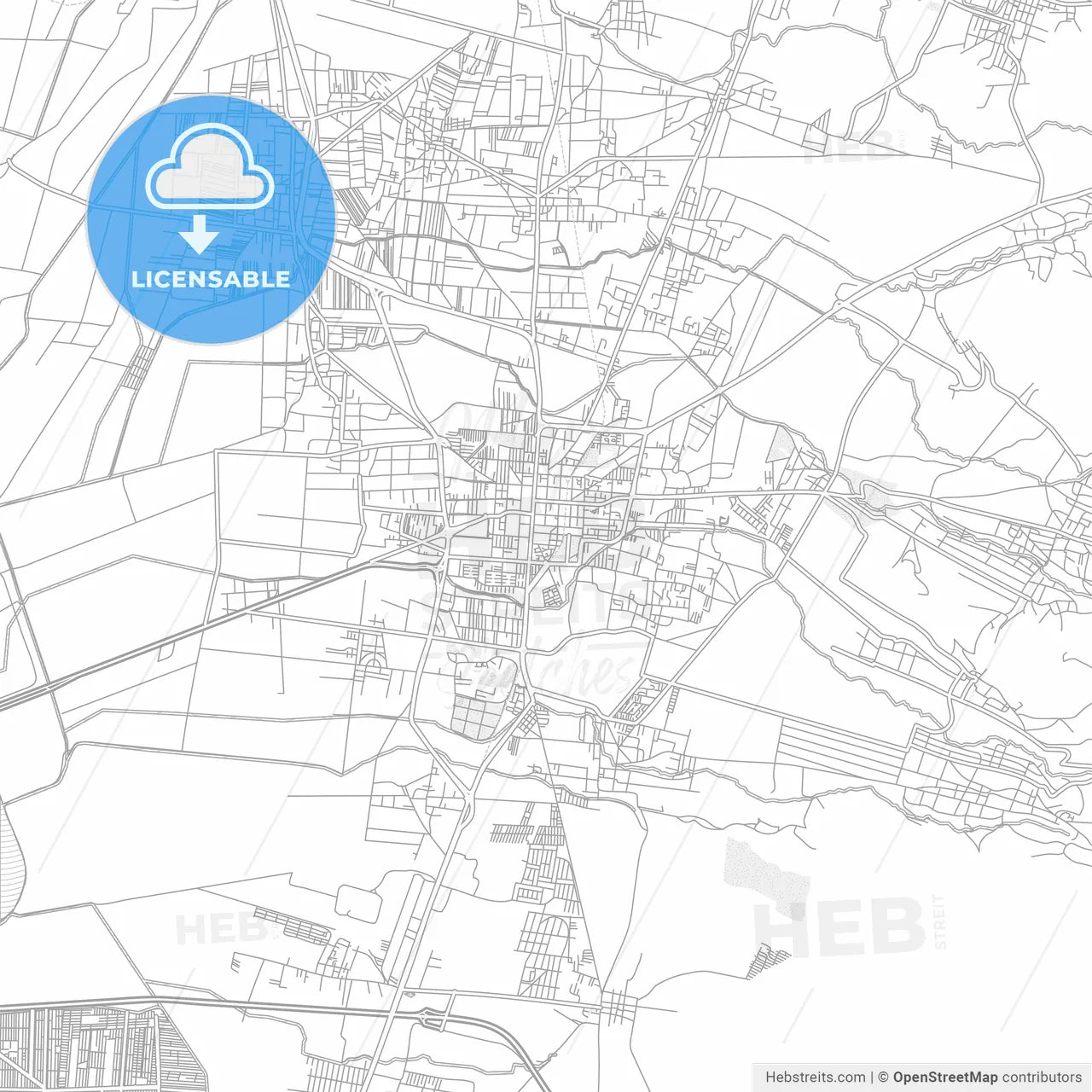Texcoco, México, Mexico, bright outlined vector map
