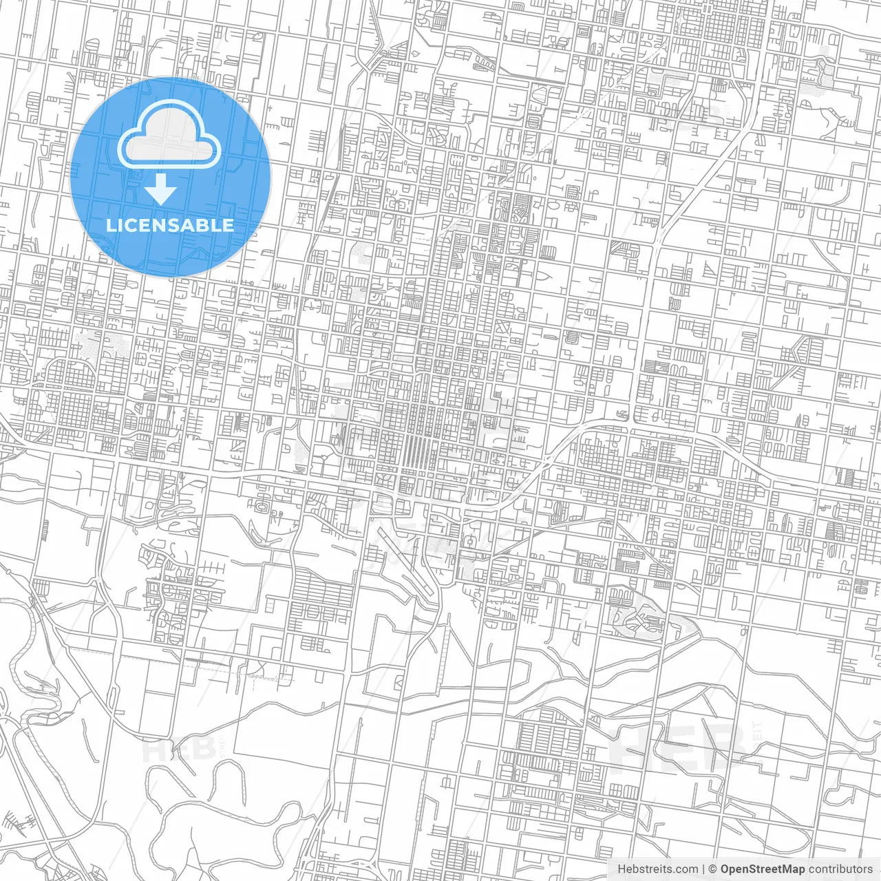McAllen, Texas, USA, bright outlined vector map