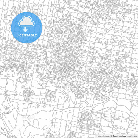 McAllen, Texas, USA, bright outlined vector map