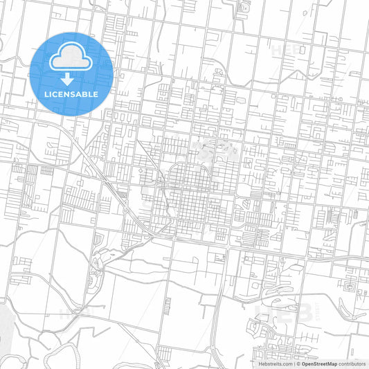 Mission, Texas, USA, bright outlined vector map